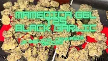 ERB B4S Video Thumbnail