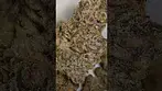 CRAFT BOTANICS SUPERBOOF 'IRRADIATED' (UK PRESCRIPTION MEDICATION)