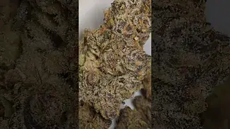 CRAFT BOTANICS SUPERBOOF 'IRRADIATED' (UK PRESCRIPTION MEDICATION)