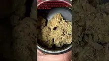 Master S BTB Video Thumbnail