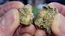 Smacksalad Video Thumbnail
