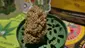 Video Thumbnail: Keep Blazing Stay Amazing