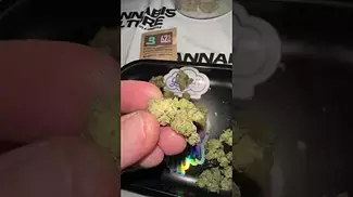 UK MEDICAL | 4C LABS | GMO X AC | T26 #ukmedicalcannabis #420community #420