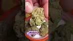 Superseed: Blueberry Purp