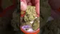Video Thumbnail: Doc Green Bud
