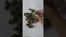 My Medical 420 Video Thumbnail
