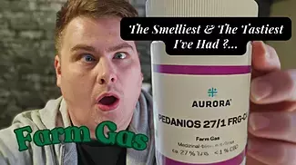This Really Surprised Me | Farm Gas By Aurora Medical Canna Strain Review...