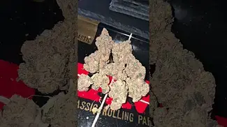 GREEN KARAT LOUD CAKE 29% THC.