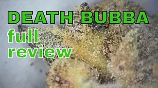 D. BUBBA | FAAFO & 4C Labs | FULL REVIEW