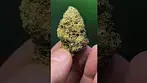 Sticky Cake 25%THC.. Medical Prescription cannabis patient.