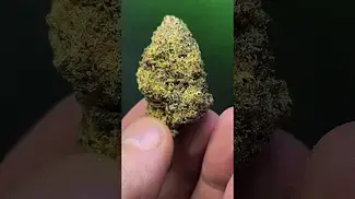 Sticky Cake 25%THC.. Medical Prescription cannabis patient.