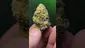 Video Thumbnail: THC Bunny