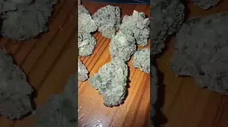 Green Karat - Modified Gas #medicalmarijuanapatient #medicinalcannabis #cannabisdaily