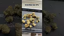 LoudConnoisseur Video Thumbnail