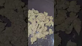 Apple Fritter By Medicus UK Medical Flower First Impressions