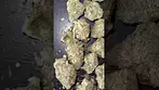 All Nations Mac Doughnut 27% THC?!  Medical Cannabis Strain #shorts #420 #fyp