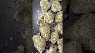 All Nations Mac Doughnut 27% THC?!  Medical Cannabis Strain #shorts #420 #fyp
