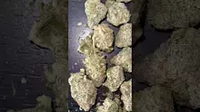 CheeseMon4 Video Thumbnail