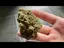 Video Thumbnail: Pain Patient