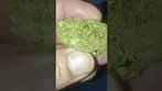 Jack Kush, (Jack Herrer x Master Kush),Good For My FND & Fibro