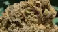 Video Thumbnail: Keep Blazing Stay Amazing