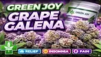 UK MEDICAL FLOWER | GREEN JOY | GRAPE GALENA | T25 #ukmedicalflower #420community #420 #broccoli