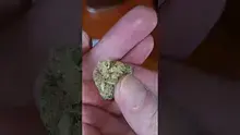 Smacksalad Video Thumbnail
