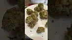 Green Karat SL T28 Lemon Skunk