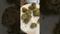 Video Thumbnail: Medi Blaze