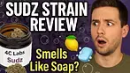 Sudz by 4C Labs | First Impressions & Honest Thoughts