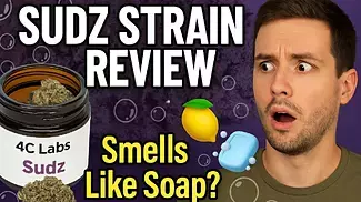 Sudz by 4C Labs | First Impressions & Honest Thoughts