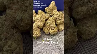 4C Labs - Sour Cherry Punch