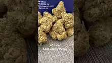 Cannabaz Video Thumbnail