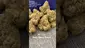 Video Thumbnail: Cannabaz