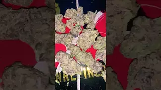 Vasco gg grape gasoline #gas #fyiシ゚viral #viralvideo #ukcannabis #music #dnb #drumandbass #rave