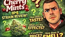 Medicated Barber Friend Video Thumbnail