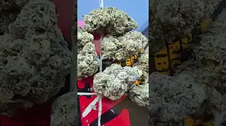 GREEN KARAT LONDON MARKER 27% THC