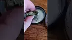Herdade Das Barrocas Banana Sherbet UK medical cannabis review