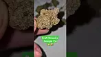 Craft Botanics - Georgia Pie (T27%)(UK Medical Cannabis Prescription)
