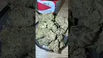 Big nastie medical candyland