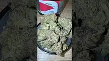 Concanna Video Thumbnail