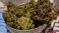 Video Thumbnail: Keep Blazing Stay Amazing