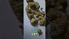 ScottiDunCanna Video Thumbnail