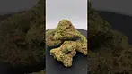 Big Narstie Medical - Rainbow Sherbet | Revisited #ukmedicalcannabis