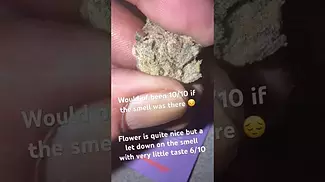 CALI-X Biscoff aka Biscotti