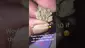 Video Thumbnail: Greenzo