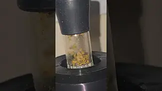 AAAA - Gelato Orange Cake T26 - In the Arizer XQ2 Vaporizer (V2016.03uk)