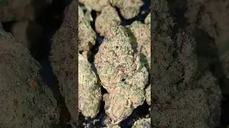 UPSTATE MELLOWZ (UK PRESCRIPTION MEDICATION)