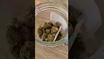 Therismos Access Strawberry OG medical ukmedicalcannabis legalmedicalpescription