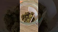 420Medical Video Thumbnail